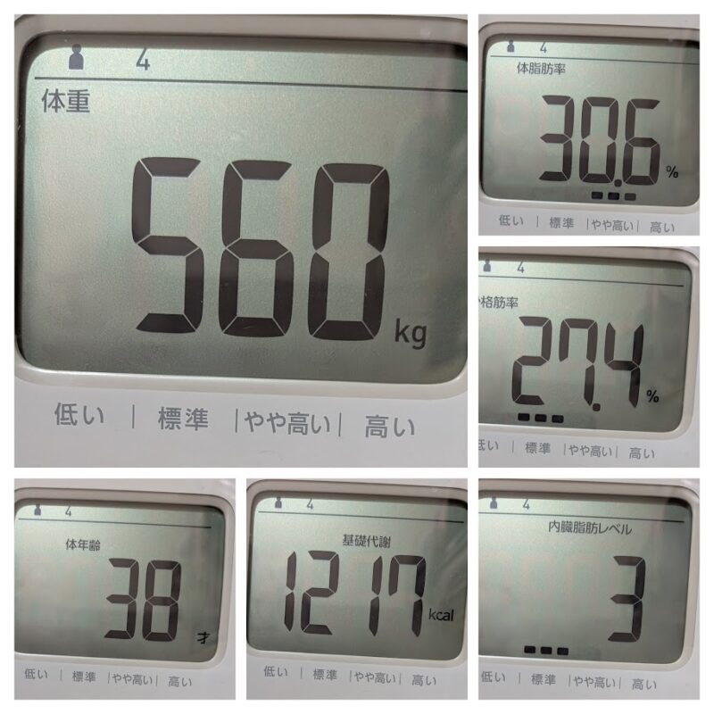 体重56.0kg、体脂肪率30.6%、骨格筋率27.4%、体年齢38歳、基礎代謝1217kcal、内臓脂肪レベル3の各数値をまとめた、体組成計画面の6分割コラージュ画像。