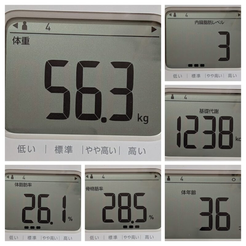 体組成計の液晶画面をコラージュした画像。左上の大きなパネルは体重「56.3 kg」を表示し、右上のパネルは内臓脂肪レベル「3」、右中央のパネルは基礎代謝「1238 kcal」、左下のパネルは体脂肪率「26.1 %」、中央下のパネルは骨格筋率「28.5 %」、右下のパネルは体年齢「36 才」を表示している。各デジタル表示には日本語のラベルが付けられている。