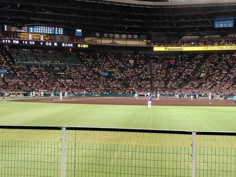 甲子園球場の外野席から見渡す満員のグラウンドと、タイガースのイニングスコアに0がずらりと並んだ電光掲示板