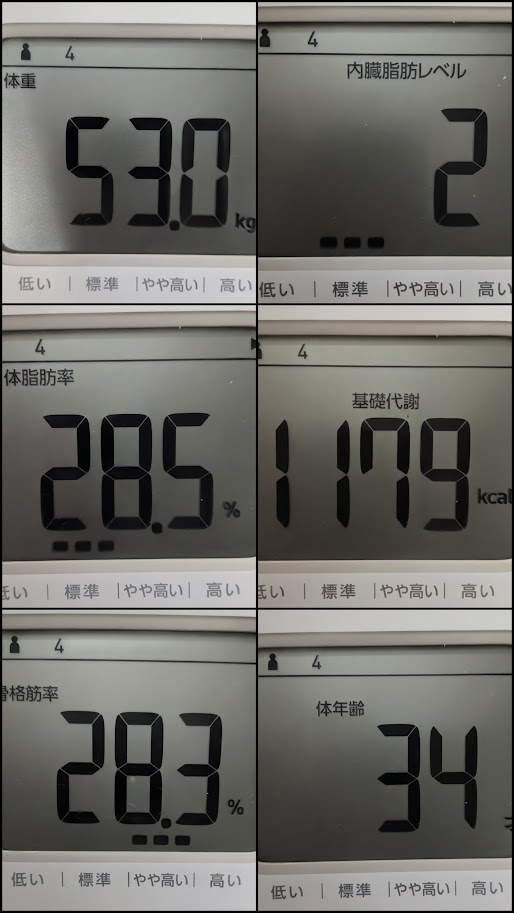体組成計の測定結果。体重53.0kg、体脂肪率28.5%、骨格筋率28.3%、体年齢34歳などの数値画面一覧